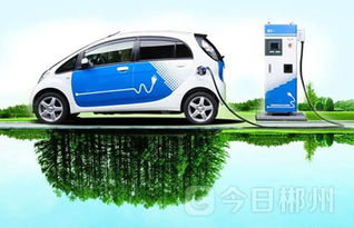 郴州正式啟用新能源汽車專用號牌，助推綠色出行新風尚